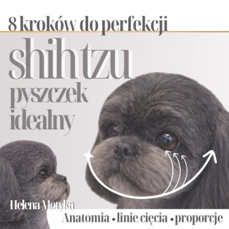 Shi tzu – pyszczek idealny w 8 krokach [ebook]